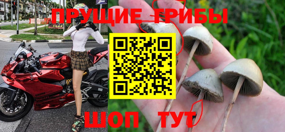 Галлюциногенные грибы Magic Shrooms Серпухов